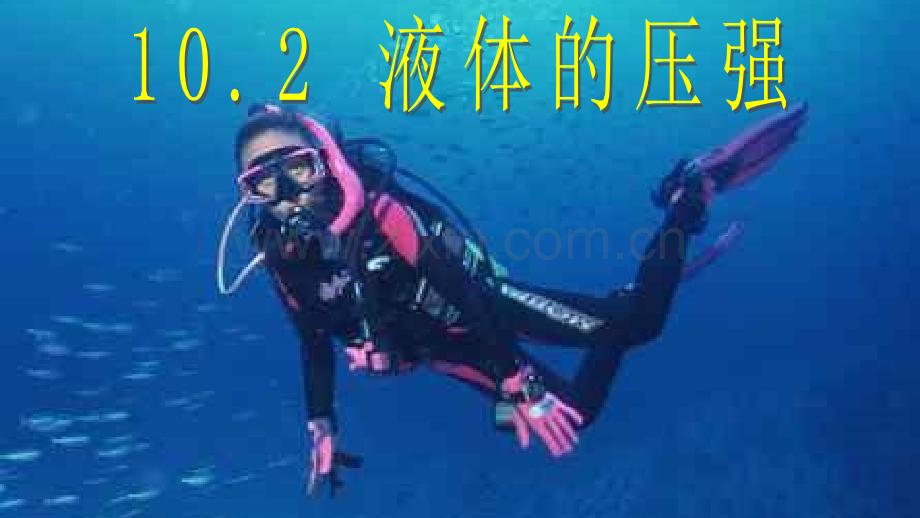 液体的压强公开课.pptx_第1页