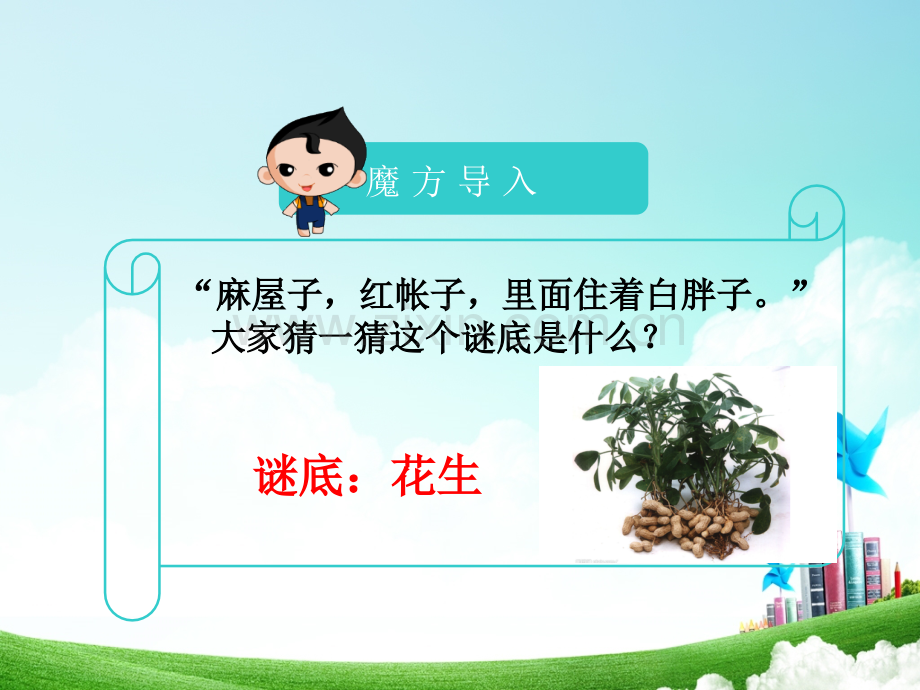 花生游戏作文.pptx_第2页