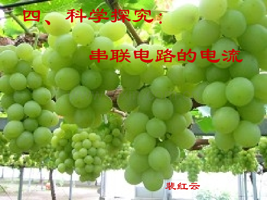 电流与电流表.pptx_第1页