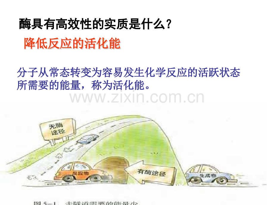用影响酶促反应速率的因素.pptx_第1页