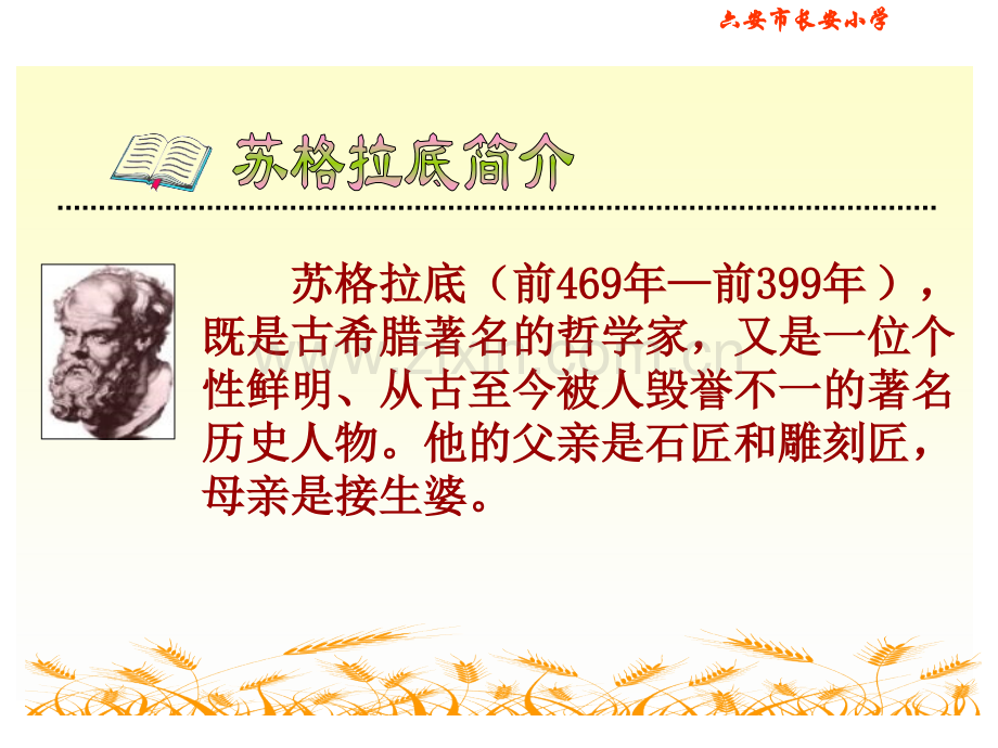 最大的麦穗PPT课件苏教版六年级语文下册课件.pptx_第2页