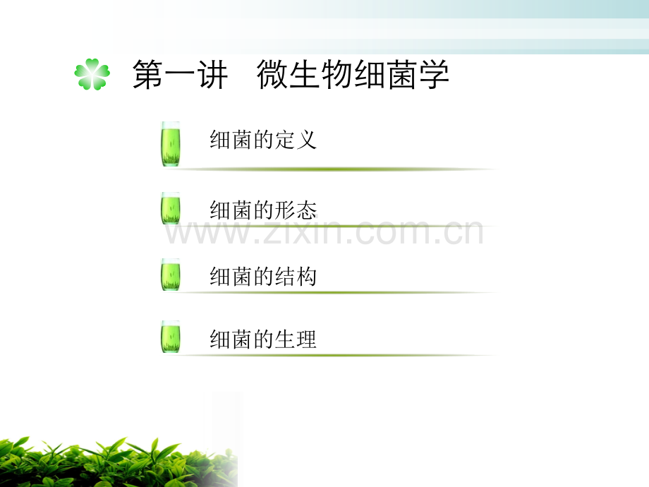 细菌培养及检测.pptx_第2页