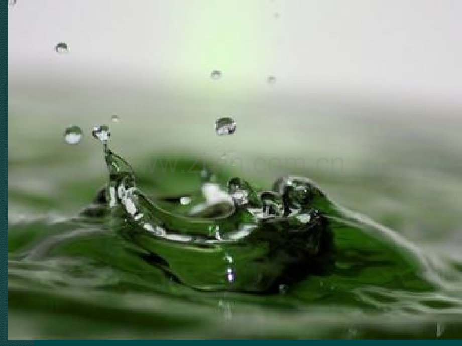 节水节电节粮主题班会.pptx_第2页