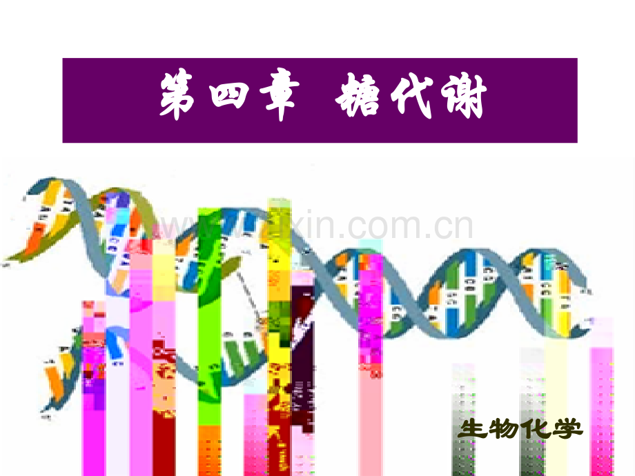 第四章糖类代谢.pptx_第1页