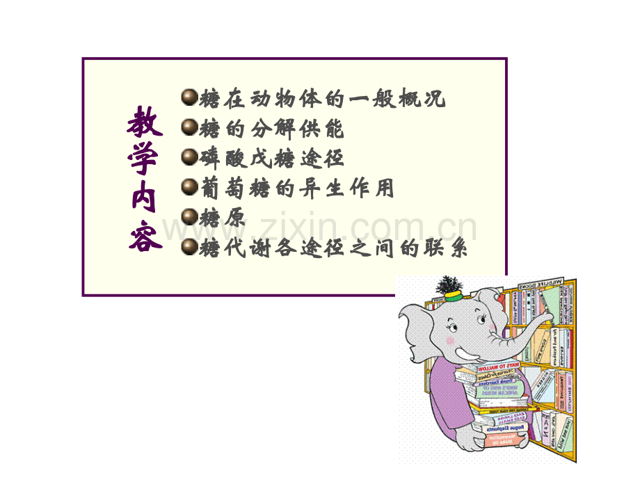 第四章糖类代谢.pptx_第2页