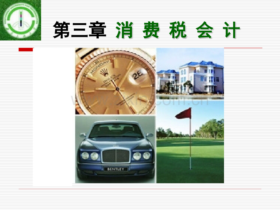 税务会计消费税会计.pptx_第1页