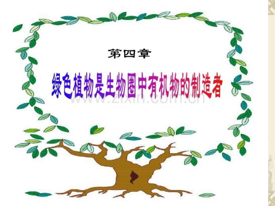 绿叶在光下制造有机物.pptx_第1页