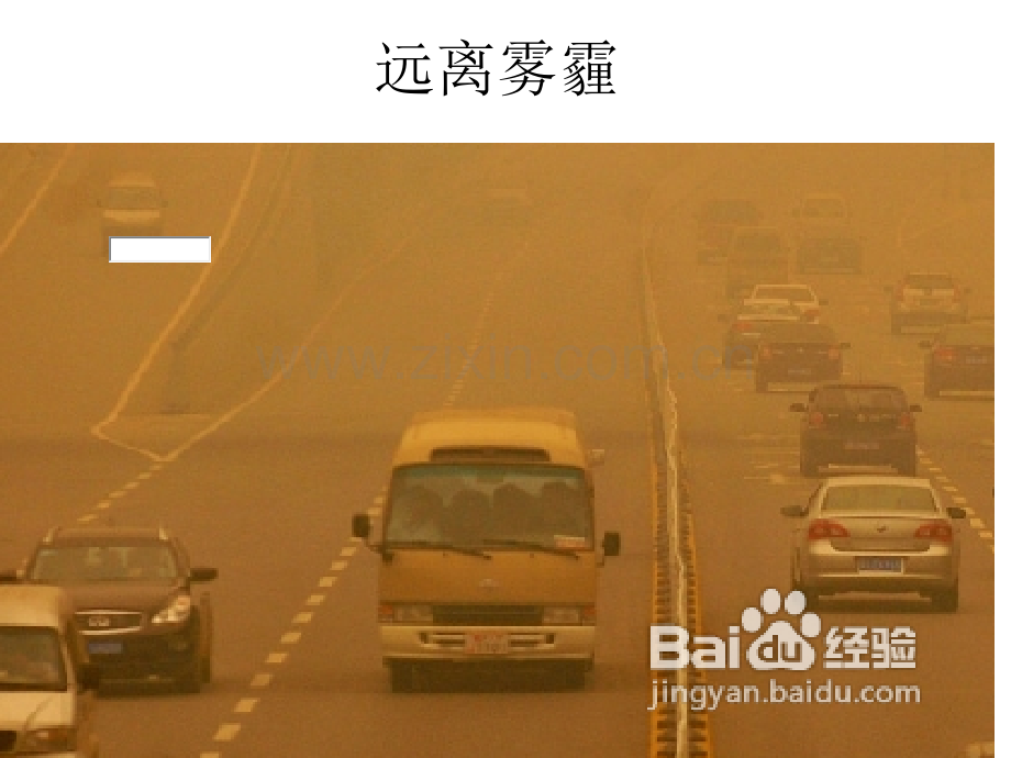 远离雾霾我为城市添点绿.pptx_第2页