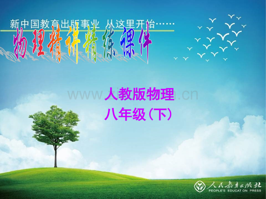 精讲精练系列复习121杆杠.pptx_第1页