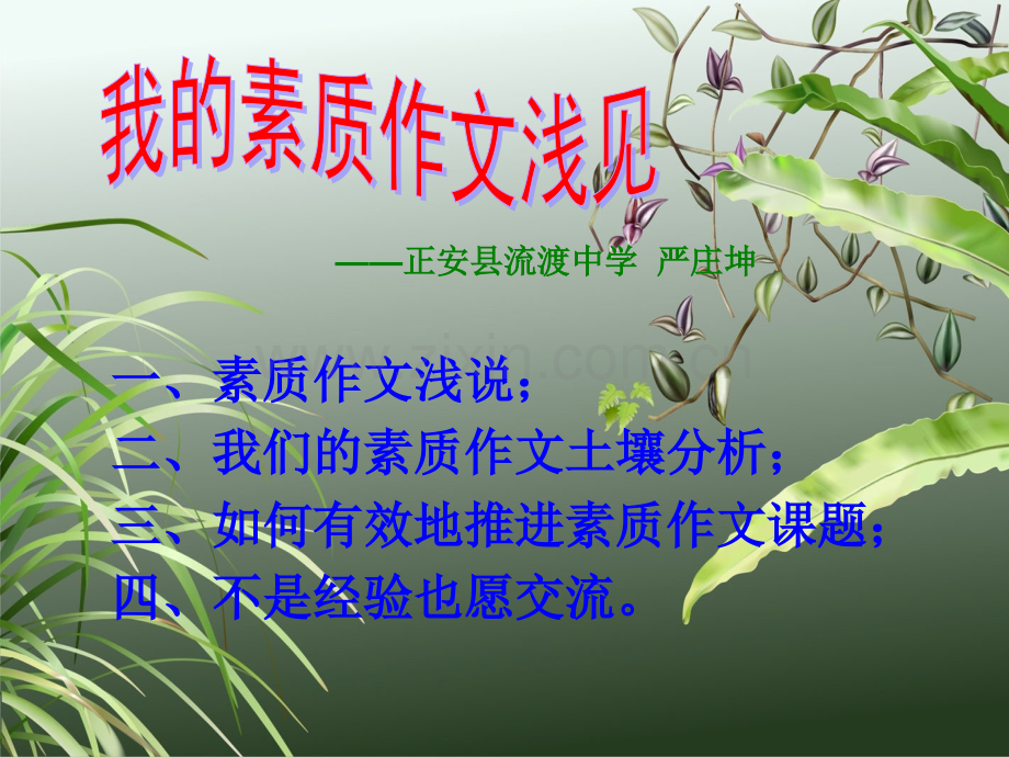 素质作文浅讲MicrosoftPowerPoint演示文稿.pptx_第2页