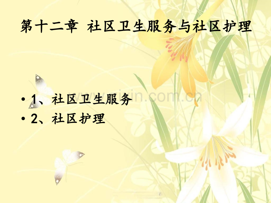 社区卫生服务与护理.pptx_第1页