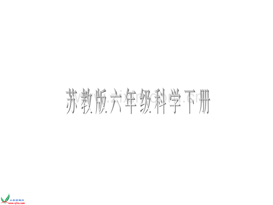 苏教版六年级科学下册有趣的食物链.pptx_第1页