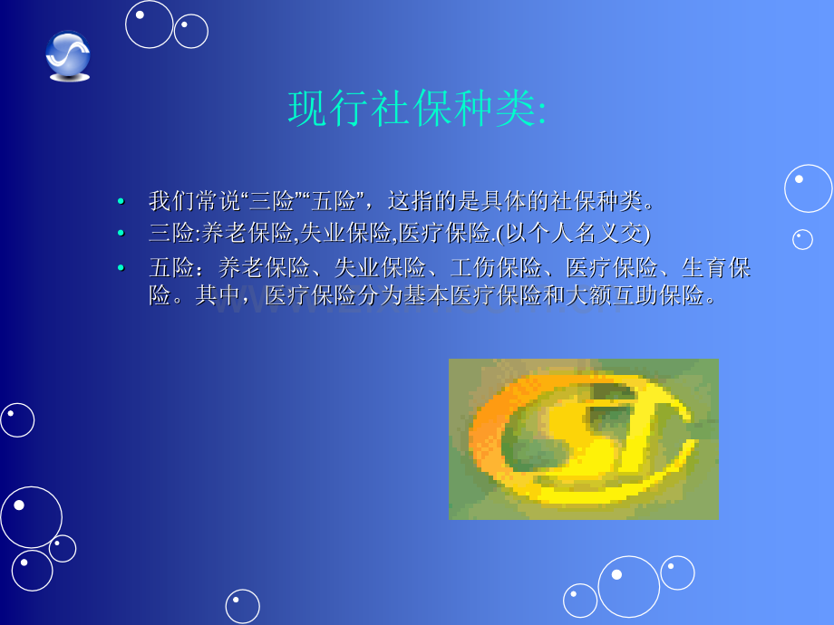 社保知识张艳辉.pptx_第2页