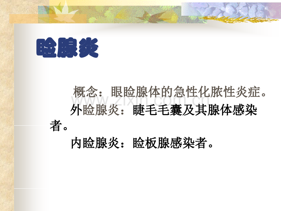 眼睑泪器结膜病.pptx_第1页