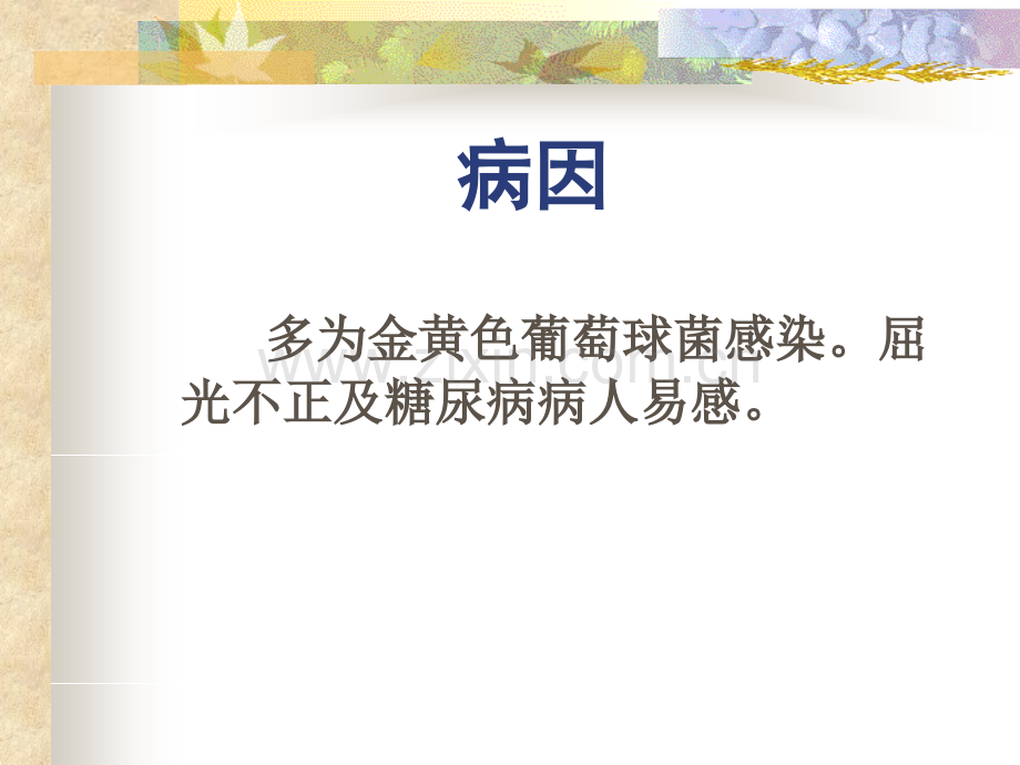 眼睑泪器结膜病.pptx_第2页