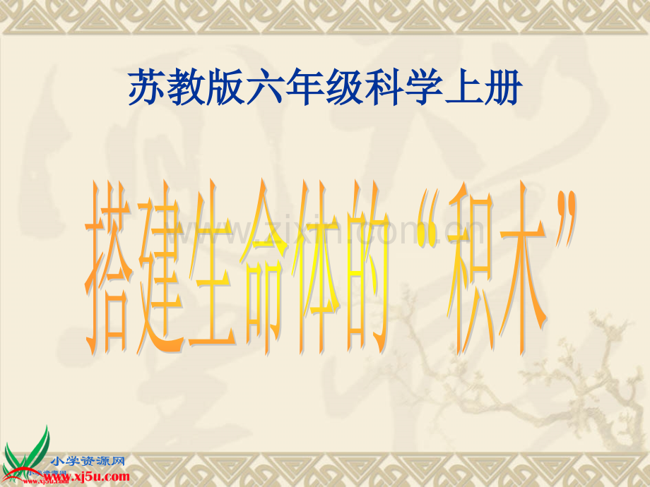 苏教版六年级科学上册4搭建生命体的积木.pptx_第1页