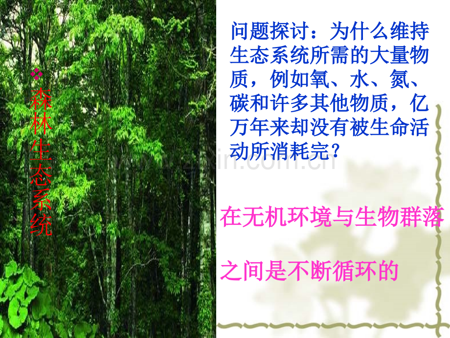 生态系统的物质循环上课.pptx_第1页
