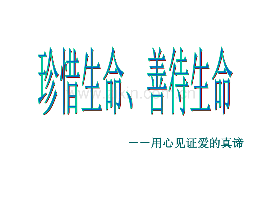 用心见证爱的真谛.pptx_第1页