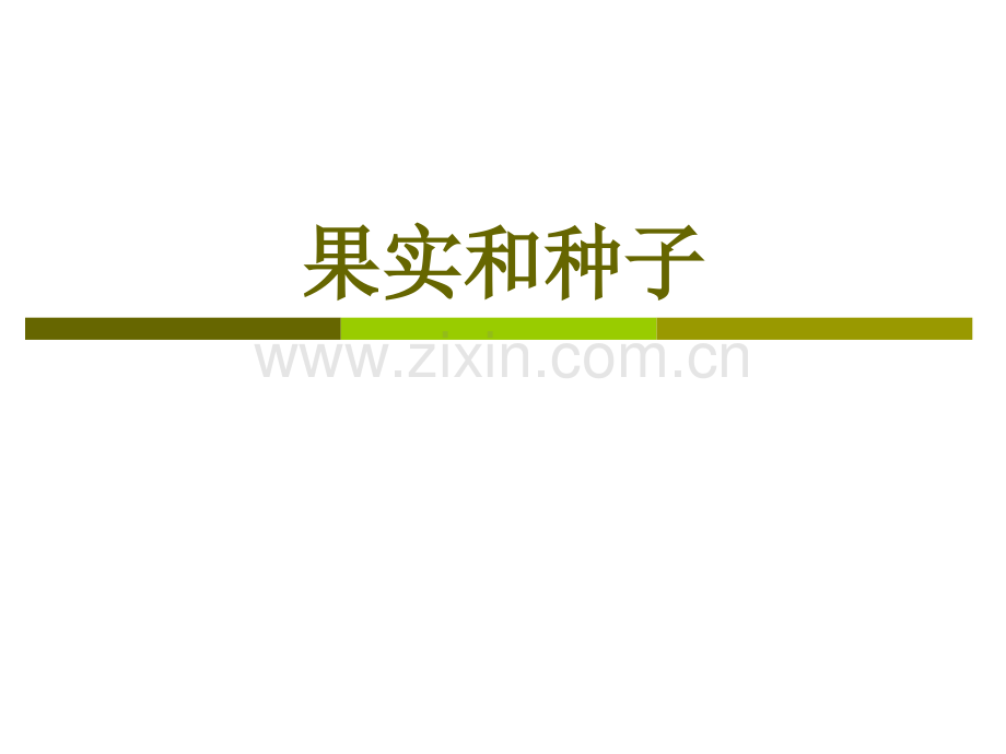 果实种子类药材.pptx_第1页