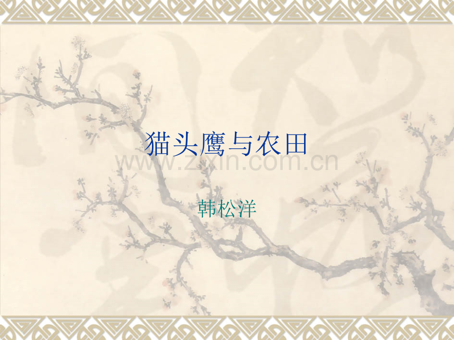 猫头鹰与农田科学.pptx_第1页