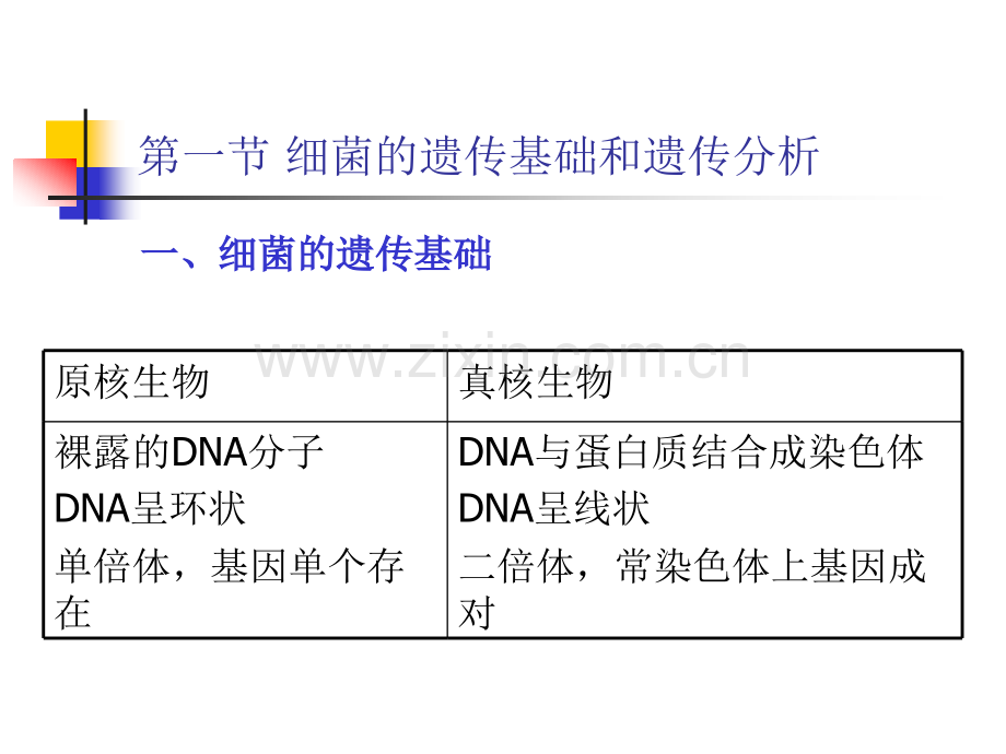 细菌和噬菌体的遗传.pptx_第1页