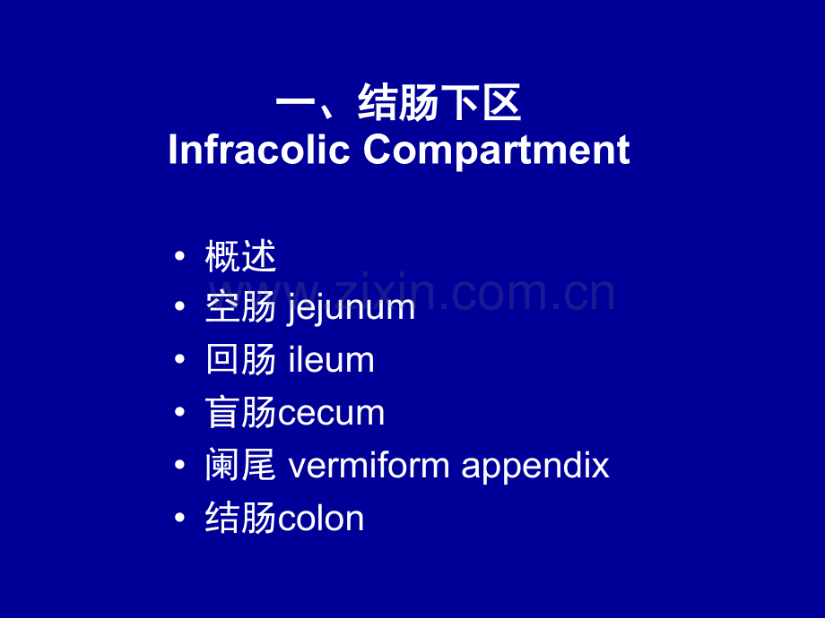 腹部的局部解剖与操作3人体局解剖学16.pptx_第2页