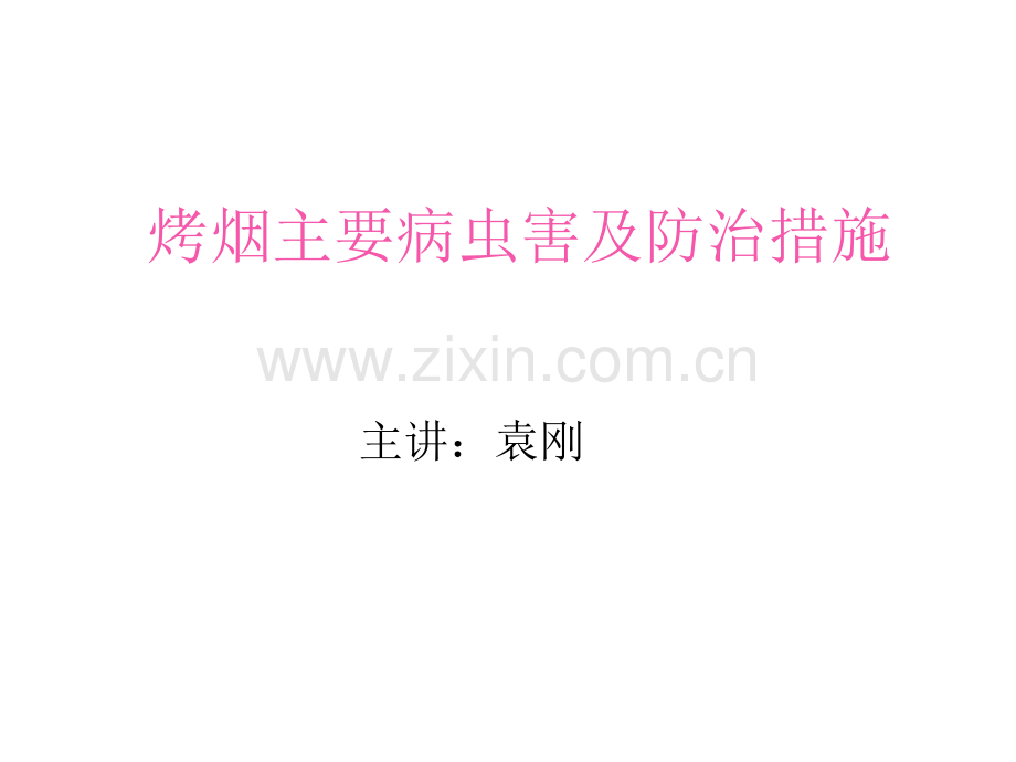 烤烟主要病虫害及防治措施.pptx_第1页