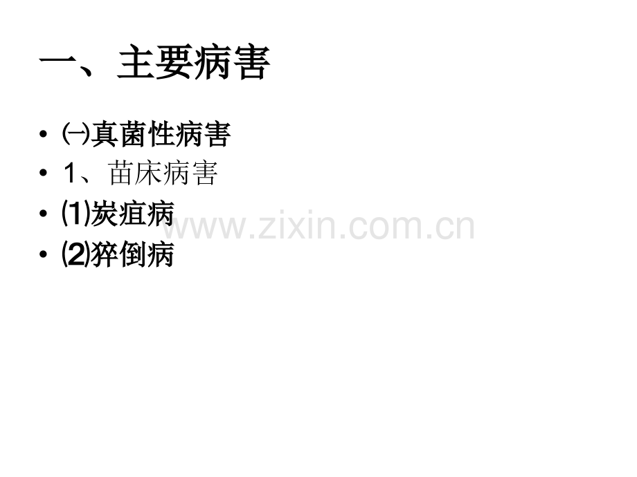 烤烟主要病虫害及防治措施.pptx_第2页