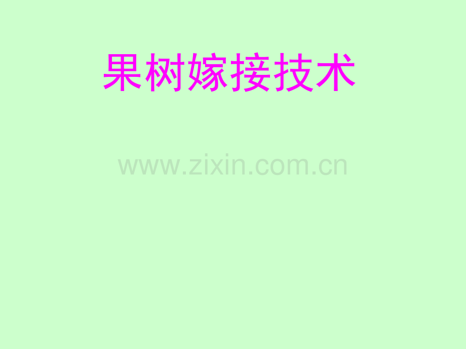 果树嫁接改良技术.pptx_第1页