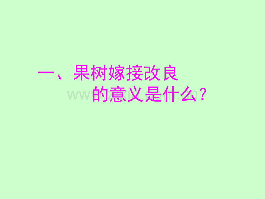 果树嫁接改良技术.pptx_第2页