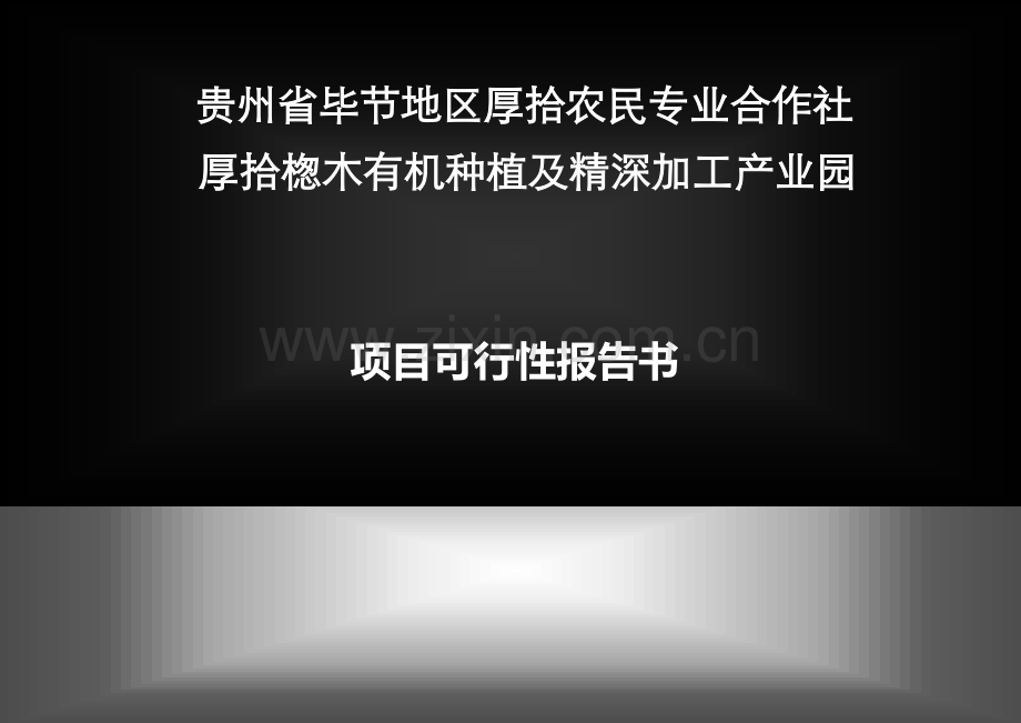 贵州省毕节地区厚拾农民专业合作社项目可行性研究报告.doc_第1页