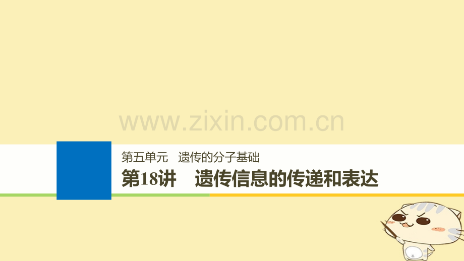 浙江高考生物一轮总复习遗传的分子基础遗传信息的传递和表达.pptx_第1页