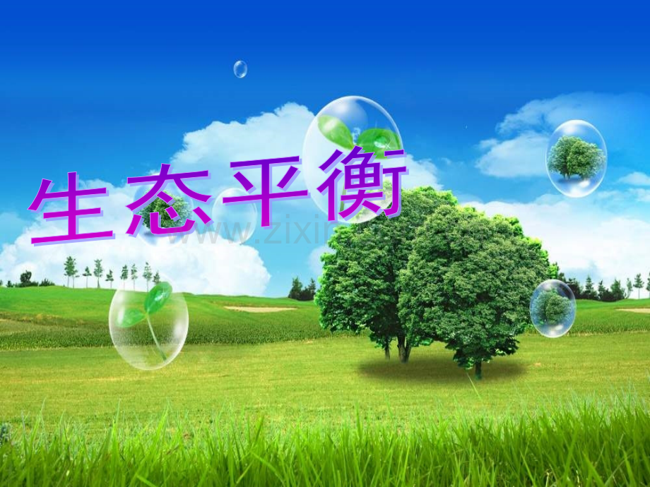 生态平衡ppt课件.pptx_第1页