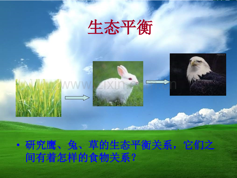 生态平衡ppt课件.pptx_第2页