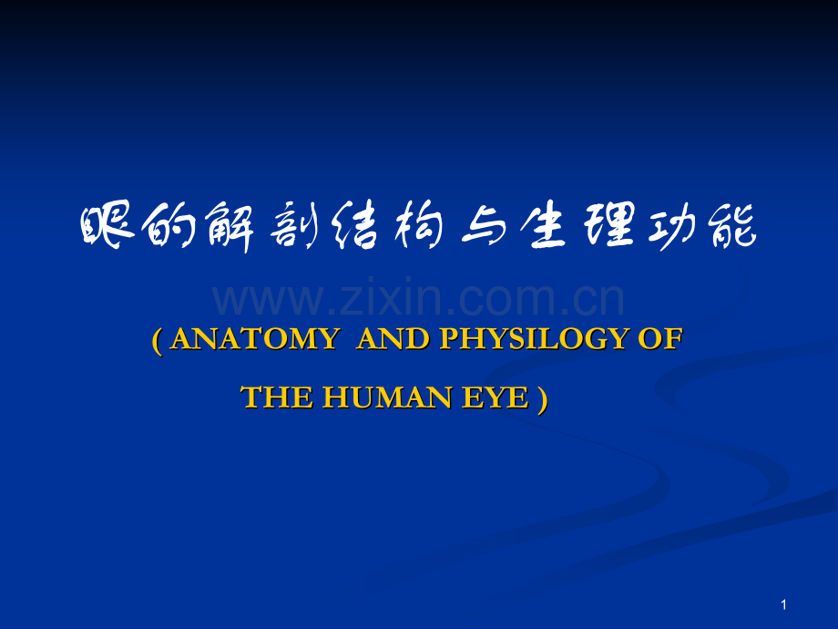 眼的解剖结构与生理功能.pptx_第1页