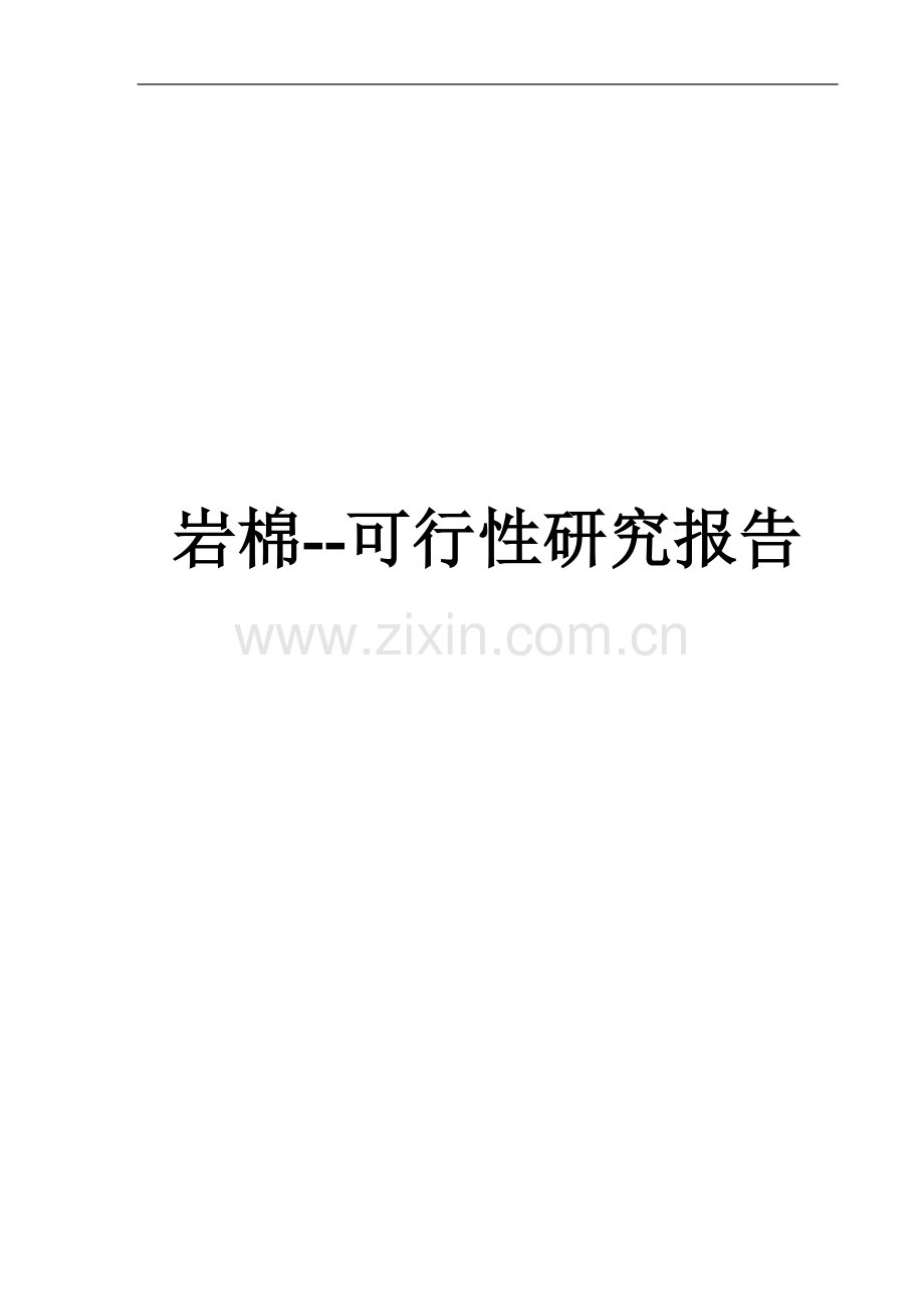 岩棉生产建设可行性研究报告.doc_第1页