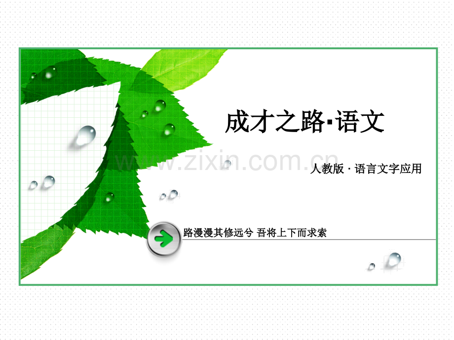 淡妆浓抹总相宜语言的色彩79页.pptx_第1页