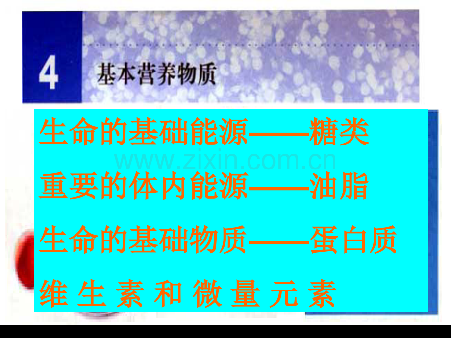 生命的基础物质.pptx_第1页