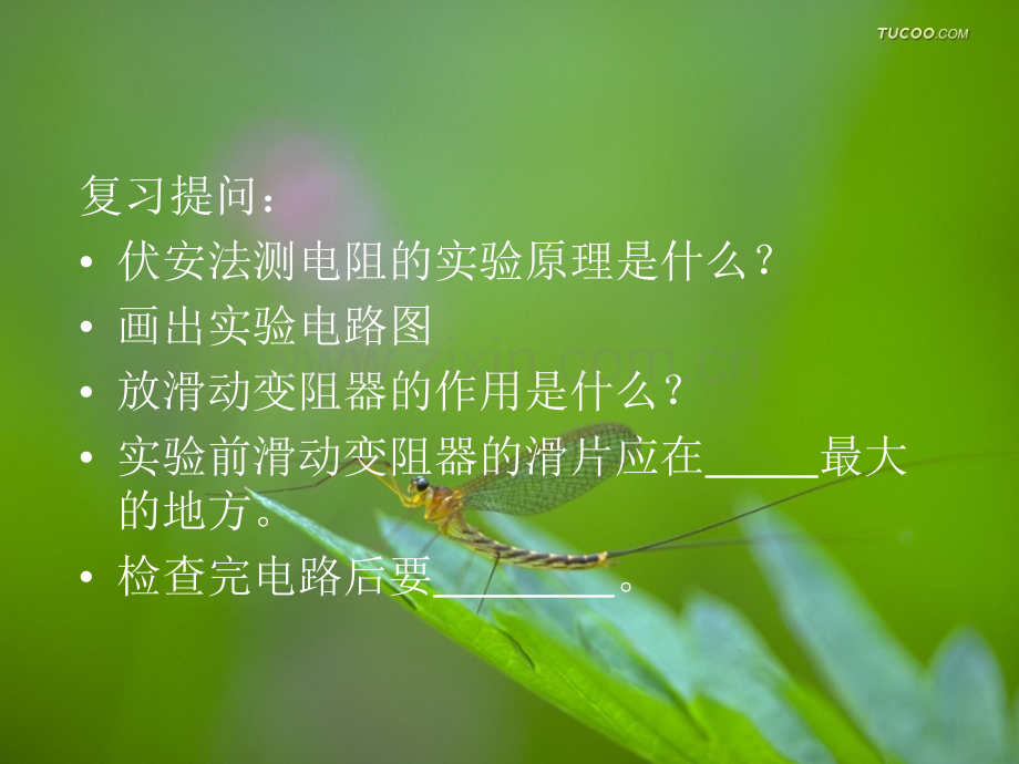 用多种方法测未知电阻的阻值.pptx_第1页