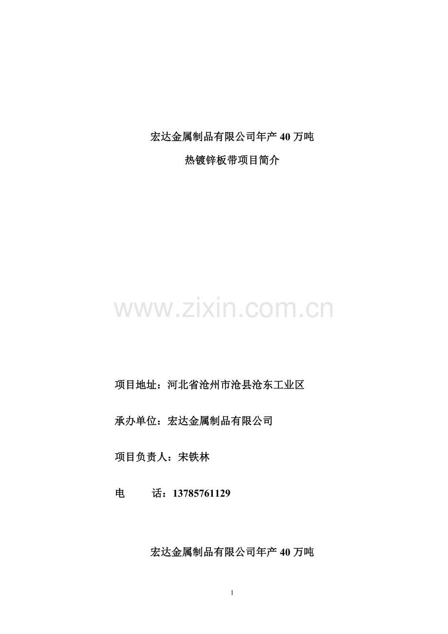 沧州宏达金属制品有限公司建设年产40万吨热镀锌板带项目申请报告.doc_第2页