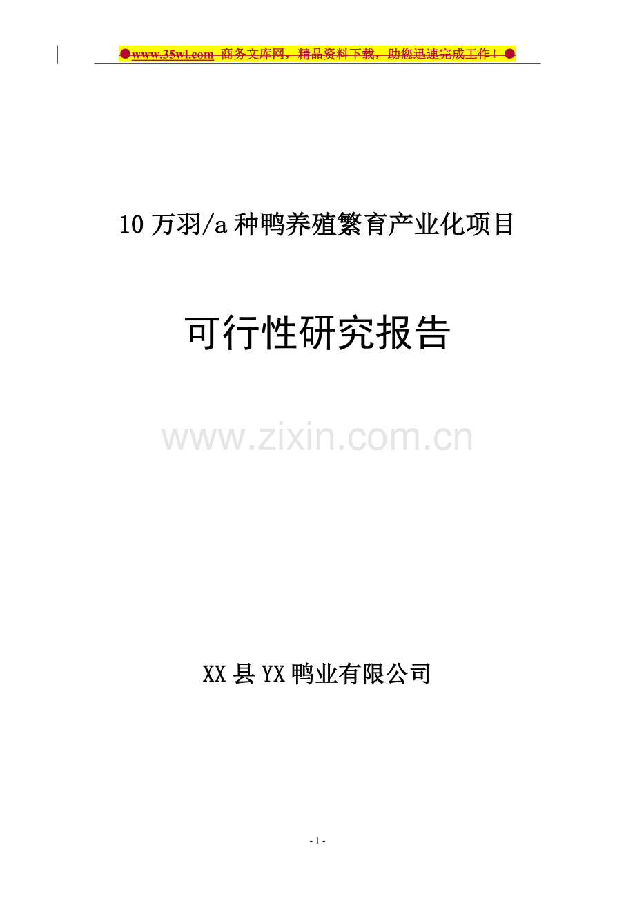 10万羽a种鸭养殖繁育产业化项目可行性研究报告.doc_第1页