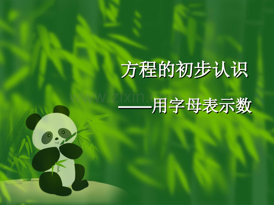 用字母表示数5.pptx_第1页