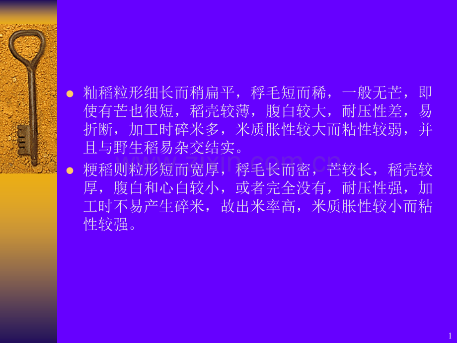 稻谷制米工艺.pptx_第1页