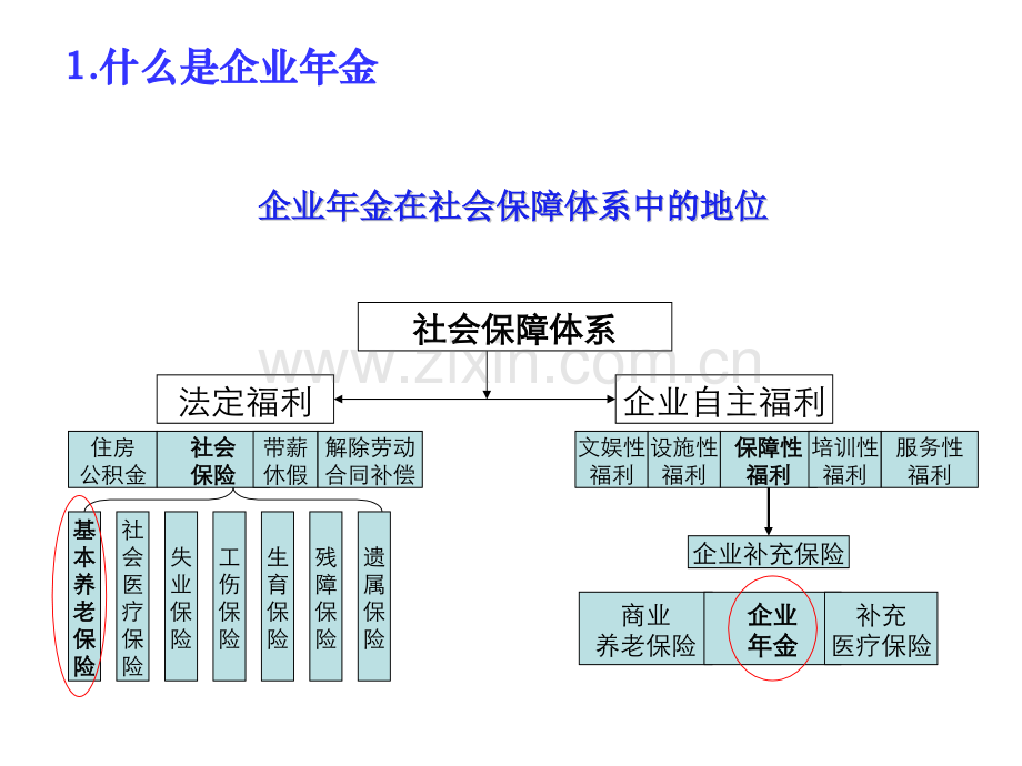 管委会金知识讲解简版.pptx_第2页