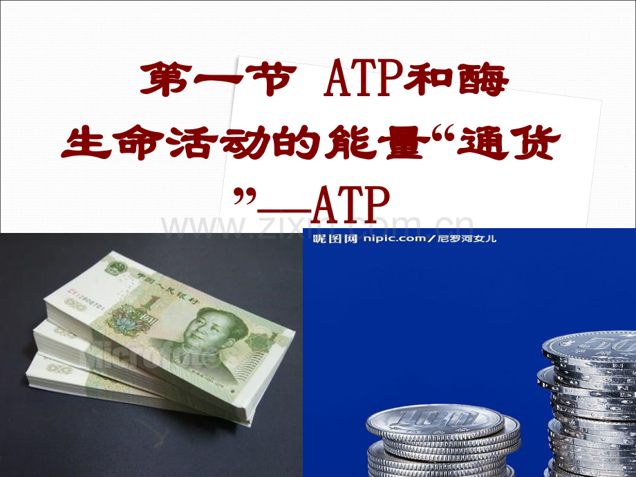 细胞的能量通货ATP锛掞紦.pptx_第1页