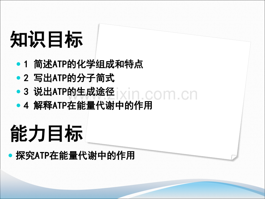 细胞的能量通货ATP锛掞紦.pptx_第2页