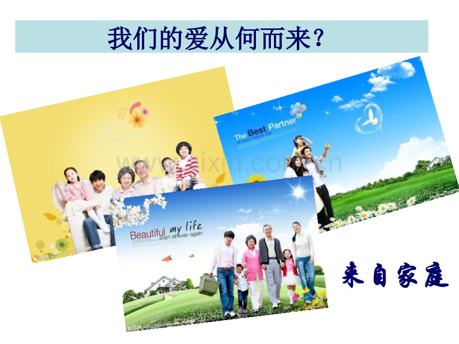 构建和谐家庭.pptx_第2页
