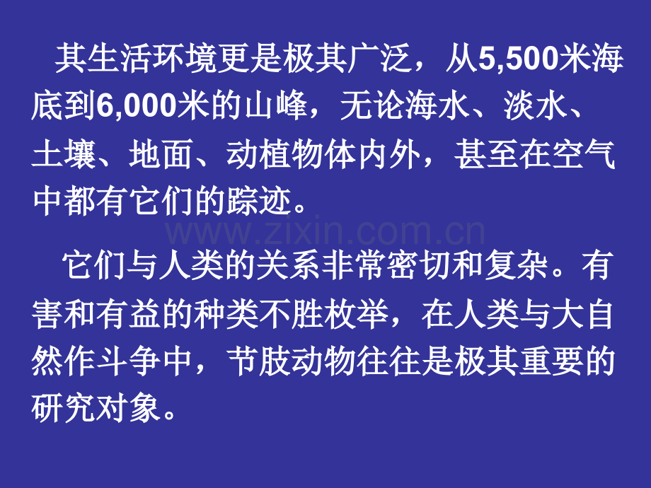 节肢动物门2.pptx_第1页