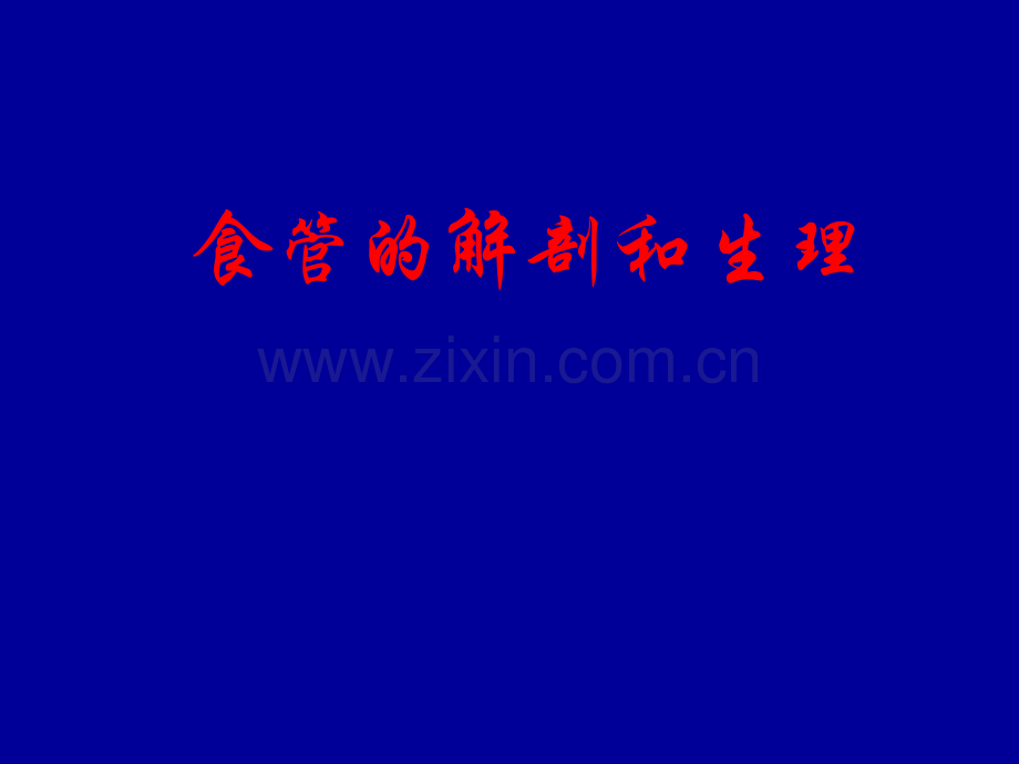 消化道解剖及正常X线表现.pptx_第2页