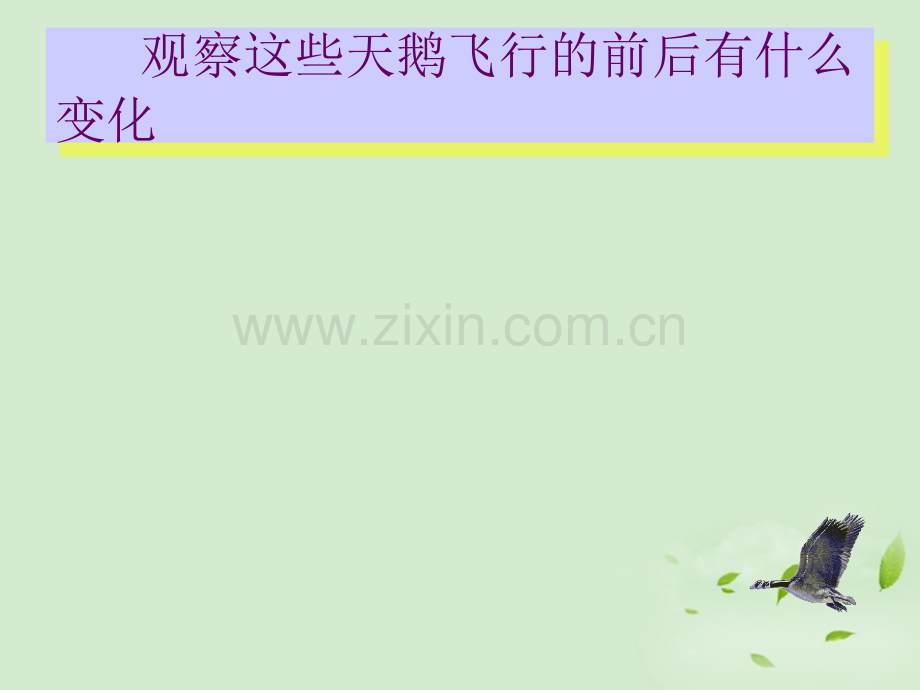 河南省南乐县城关中学七年级数学平移课件.pptx_第2页